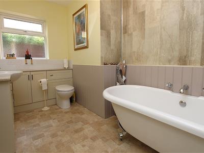 Picture 11